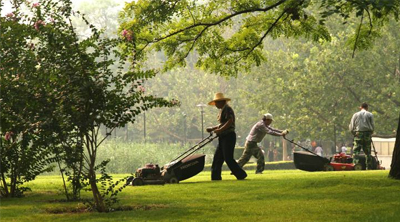 Garden Tools
